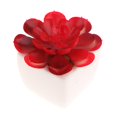 thumbnail image 1 of Surtido 4 Unids en Maceta Artificial Soledad Suculentas Plantas, 1 of 8