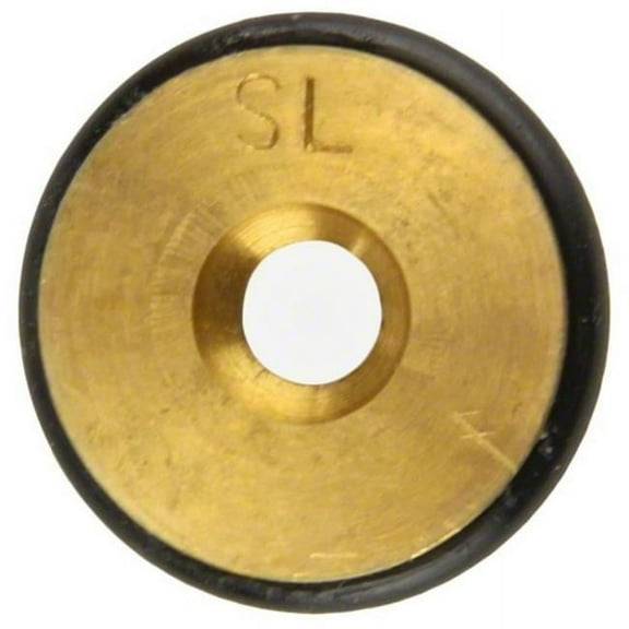 Pentair 460756 Propane to Natural Gas Conversion Replacement Kit 300 Pool and Spa Heater