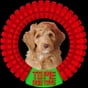 TOME DOG TOYS profile photo