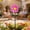 Pink, variant on 2026 Wind Measurement Decoration Wind Outdoor Metal Wind Sculpture With Garden Stake Windmill For Patio & Yard