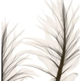 thumbnail image 2 of Sommers, Mindy 26x27 White Modern Wood Framed Museum Art Print Titled - Natural Emotions II, 2 of 4