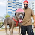 thumbnail image 3 of Casco de plástico para mascotas, casco decorativo para perros, sombrero de seguridad para perros, casco de parodia para perros, accesorio para fotos, 3 of 6