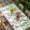 SpringGreen Ivory, variant on Spring Botanical Table Cloths for 4 Foot Rectangle Tables, Watercolor Leaves Flowers Birds Beige Patio Waterproof Elastic Fitted Tablecloths, Washable Rectangular Table Cover for Camping