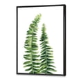 thumbnail image 3 of Designart 'Fern Plant Leaves Detail IV' Farmhouse Framed Canvas Wall Art Print, 3 of 5