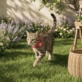 thumbnail image 6 of Reflective Cat Collar, Breakaway Cat Collars, Quick Release Buckle, Silicone Sleeve, Cat Bell Collar, Red, 8-12 in, 1 Pc, Feline Anti-Loss Gear, Daily Use, 6 of 6