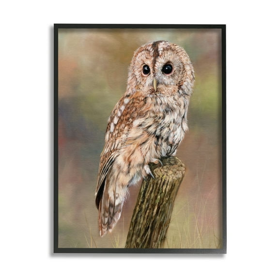 Stupell Industries Brown Tawny Owl Perched Intricate Woodland Wildlife Painting Painting Black Framed Art Print Wall Art, Design by David Stribbling
