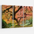 thumbnail image 3 of Design Art - Autumn Maple Tree, 3 of 3