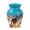 Horse polo - 4, variant on Tranqurn Horse Polo Cremation Urn for Human Ashes Adult Male - Brown Burial Urn for Ashes for Women - Funeral Urns for Mom 1 Large & 4 - Memorial Sympathy Gift -10 & 3 Inch