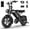 Black, variant on Tamobyke T16 Electric Bike for Teens & Adults, 750W 28MPH, 16" x 4.0" Fat Tire E Mountain Bike, 48V 15.6Ah, Class 3,UL2849 Certified