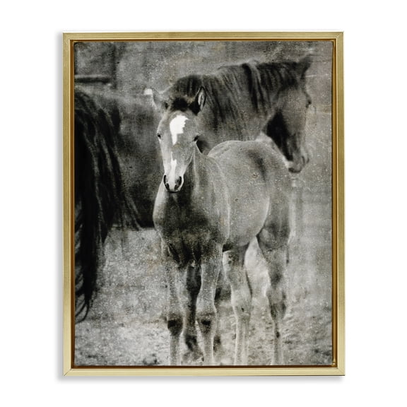 Stupell Industries Rustic Lodge Vintage Foal Horse Farmland Gold Floating Frame Canvas Art, 25 x 31, by Kamdon Kreations