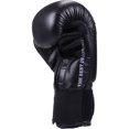 thumbnail image 2 of Ringside Extreme Fitness Boxing Gloves Regular Black, 2 of 3