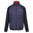thumbnail image 1 of Regatta Veste Hybride Clumber IV pour Hommes, 1 of 7