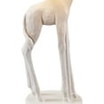 thumbnail image 2 of Vanity Art 16.54" Indoor White Table Lamp with Fabric Shade | Modern Farmhouse Bedside Lamp Giraffe Table Lamp for Bedroom, Living Room, Office, College Dorm MLT003TL-GF-WT, 2 of 4