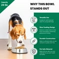 thumbnail image 6 of Iconic Pet 92193 24 oz Anti Ant Stainless Steel Non Skid Pet Bowl for Dog or Cat, 3 cup, 6 of 9