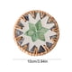 thumbnail image 3 of Rattan Ceramic Heat Insulating Saucer Seashell Floral Pattern Saucer Tea Saucer Coffee Table Hand Woven Non Scaldable Seashell Mats, 3 of 6