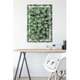 thumbnail image 4 of Cactus - Group Wall Poster, 22.375" x 34", 4 of 4
