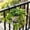 Black, variant on Orangide European Style Wrought Iron Balcony Railing Planter Rack, Hanging Flower Stand and Round Wall-Mounted Holder for Small Pots, Spring Summer Decor