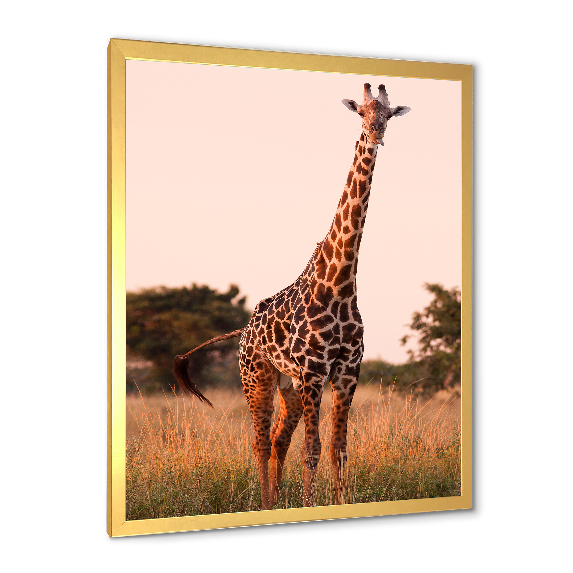 Designart 'African Giraffe In The Wildlife I' Farmhouse Framed Art Print