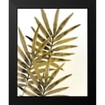 thumbnail image 2 of Kimberly, Allen 20x24 Black Modern Framed Museum Art Print Titled - Ferns 1, 2 of 5