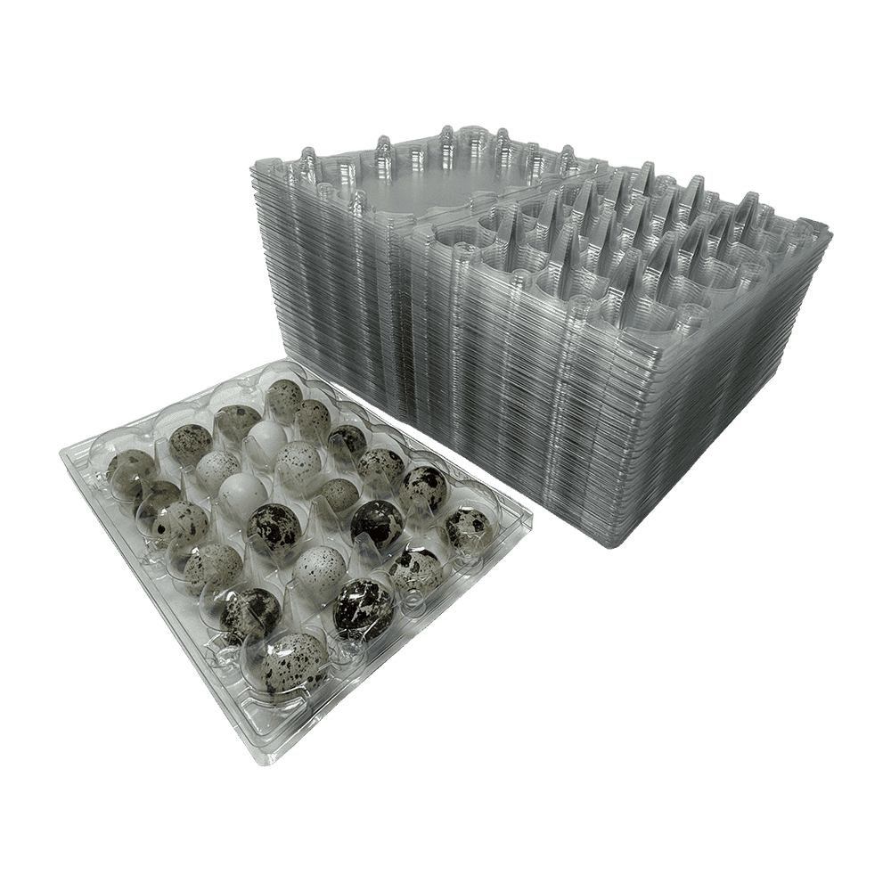 100 Jumbo Quail Egg Cartons Only for Coturnix Bobwhite Quail Two Dozen