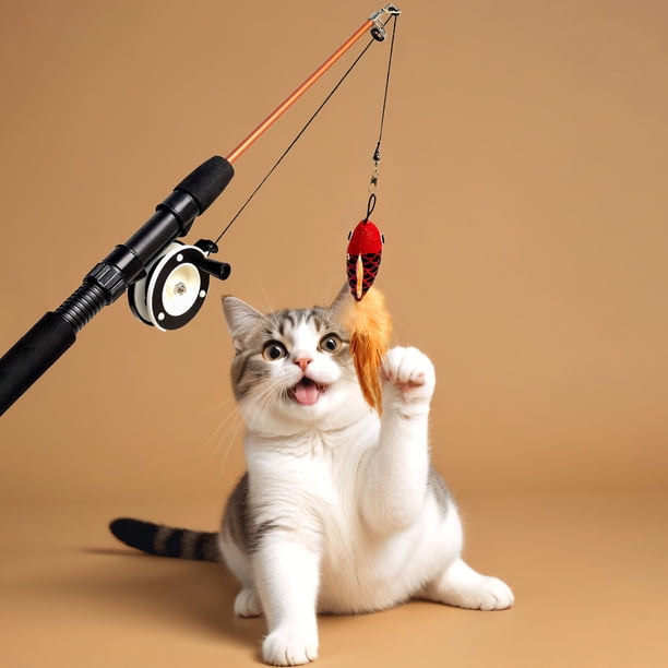 cats play with fishing pole APSUAE 9 PCS Cat Toy, Retractable Cat Feather Toys Cat Wand Plush Fish Worm Feathers with Bells Catnip Interactive Cat Teaser Toys for Kitten Cat : Pet Supplies Please allow slight dimension difference due to different manual measurement Interactive Cat Teaser Toy, Retractable