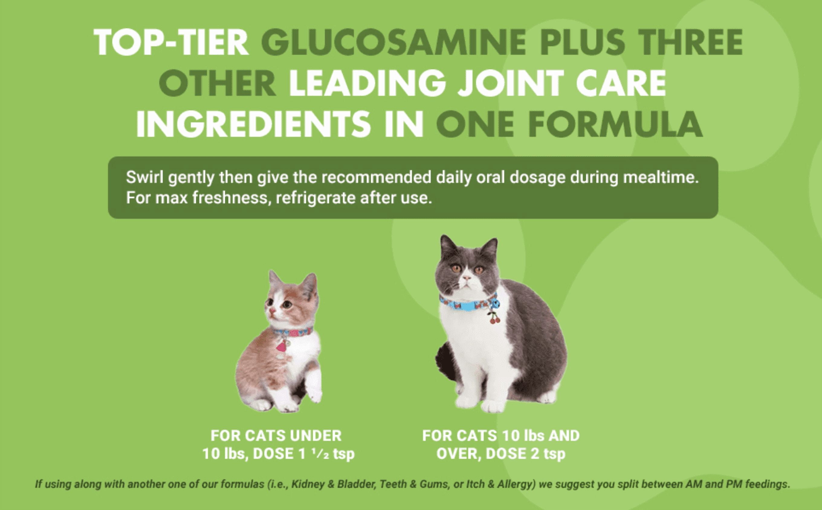 Liquid-Vet Hip & Joint Support Supplement for Cats with Glucosamine, Seafood, 8 oz.