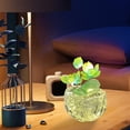 thumbnail image 2 of SLYNSHome LED Night Light for Girls Lotus Lights DIY Present Lamps Kids Nightlight for Bedside Bedroom Decoration Birthday Gifts (Green), 2 of 7