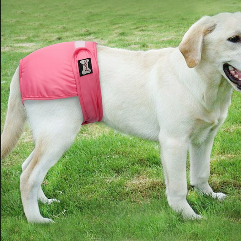 Walmart dog cheap panties