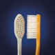 thumbnail image 4 of Cepillo de dientes Quantum Euro-Tech suave, paquete de 4 con hilo dental, 4 of 9