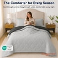 thumbnail image 7 of Loomsnest 2-Piece Twin Comforter Set, All Season Duvet Insert, Soft, Lightweight, Diamond Stitched, Reversible Down Alternative Comforter (Light Gray & Dark Gray), 7 of 7
