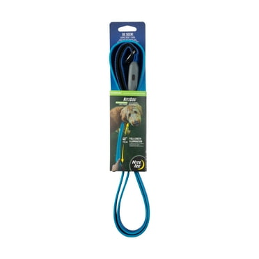 Nite Ize NiteDog USB Rechargeable LED Leash, 5 Foot Light Up Dog Leash - Blue