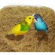 thumbnail image 3 of Fibra de coco, ropa de cama cómoda para pájaros y animales pequeños, material de revestimiento para nidos, ideal para construir nidos y escondites (marrón), 3 of 5