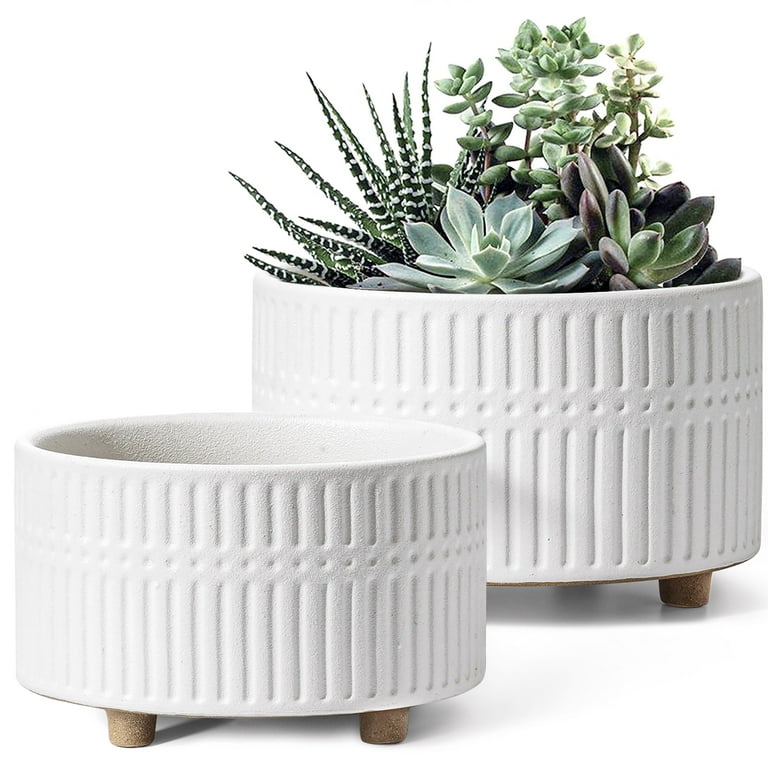 BEMAY 2-Pack White Ceramic Succulent Pots, 6.5 & 8 Inch photo 7