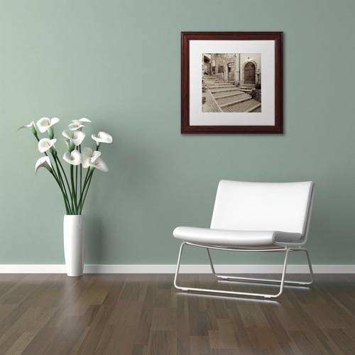Trademark Fine Art "Lombardy I" Canvas Art by Alan Blaustein, White Matte, Wood Frame