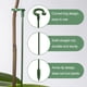 thumbnail image 2 of 30 Piezas de Estacas de Soporte para Plantas con 30 Piezas de Clips para Plantas Soporte Floral para Flores de JardíN Estaca de Soporte de un Solo Tallo, 2 of 5