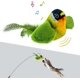thumbnail image 1 of Interactive Cat Toy with Cat Wand - Interactive Feather Toy - Interactive Toy for Indoor Kitten, 1 of 4