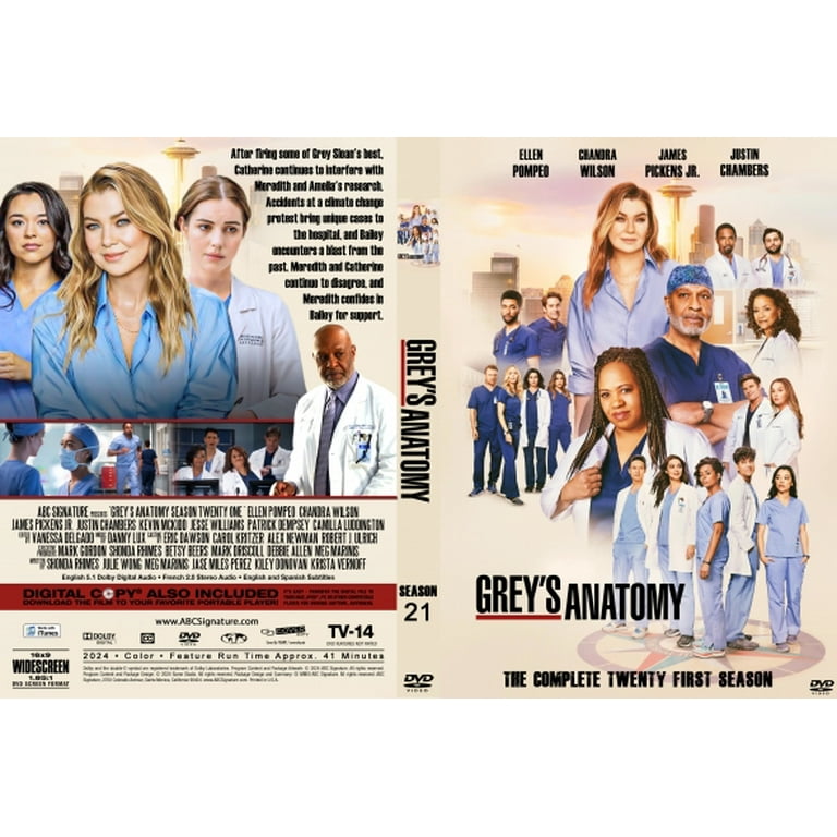 Season 21 Grey's Anatomy Netflix Usa Season Good Doctor On