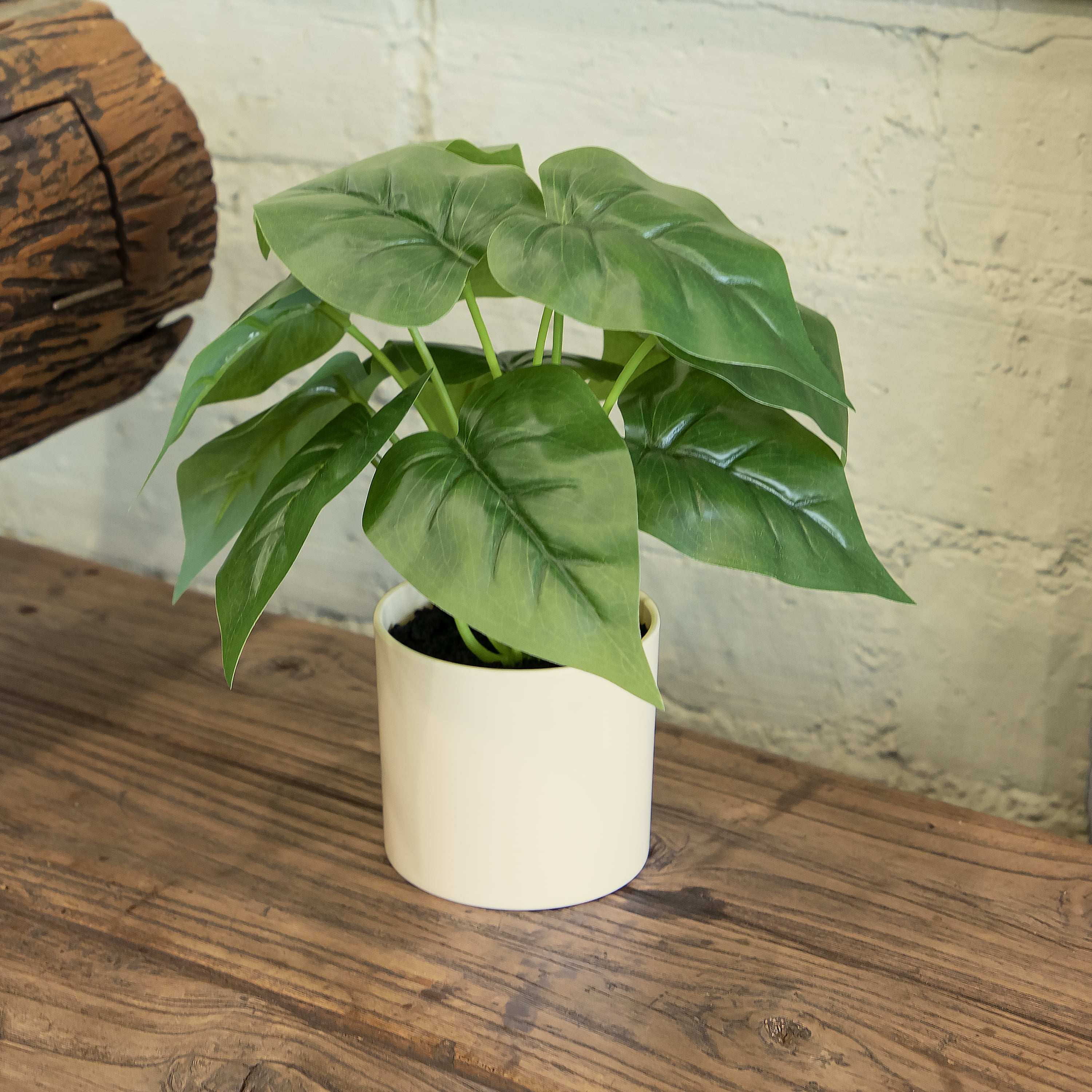 (3 pack) 10-inch x 4-inch Artificial Philodendron Leaf Plant in White Pot, Green, for Indoor Use, by Mainstays