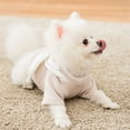 thumbnail image 2 of Chandail pour Chat Mode Vêtement Chaud pour Animaux Vêtements pour Chat Costume pour Chatons, 2 of 10