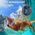 thumbnail image 5 of LED Dog Pet Collars Luminous Necklace Buckle IP68 Waterproof Rechargeable Flashing Dog Collar Pet Safety Collar (Yellow-ML), 5 of 7