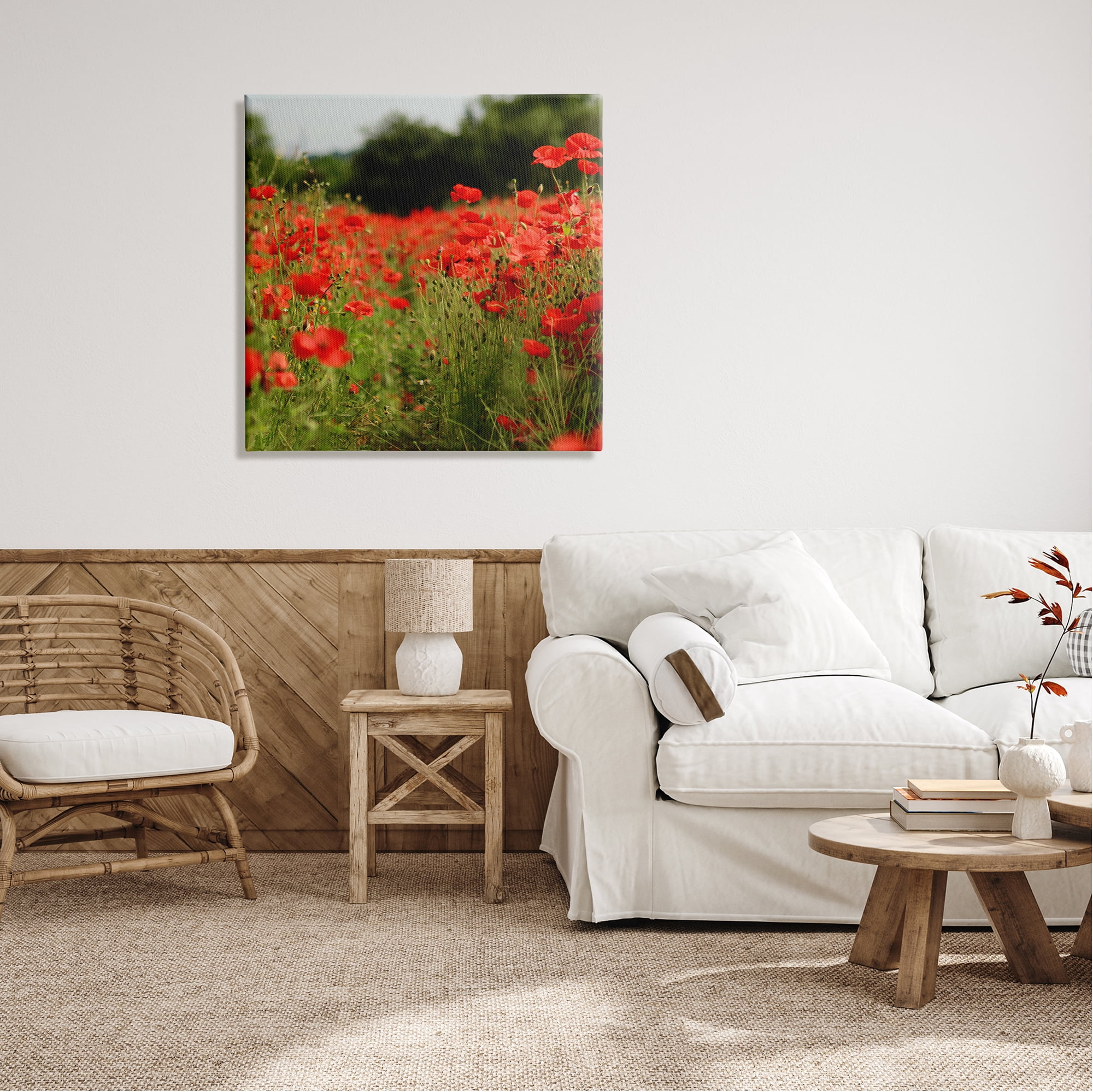 Stupell Industries Brilliant Red Poppy Meadow Scenic Flower Blooms Photograph Gallery Wrapped Canvas Print Wall Art, Design by Dan Meneely