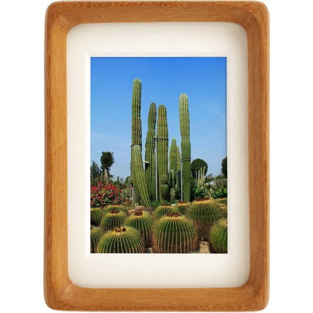 Marco de fotos de madera con tapete, para exhibir en la pared o en el escritorio Marcos de fotos con bordes redondeados de inspiración de mediados de siglo Exhibición horizontal o vertical de madera