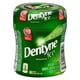 Dentyne Ice Menthe verte, gomme sans sucre, 1 flacon (60 morceaux) Xbox – image 1 sur 10