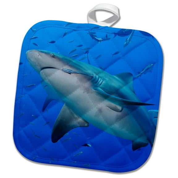 3dRose, Fiji. Close up of bull sharks., 8x8 Potholder