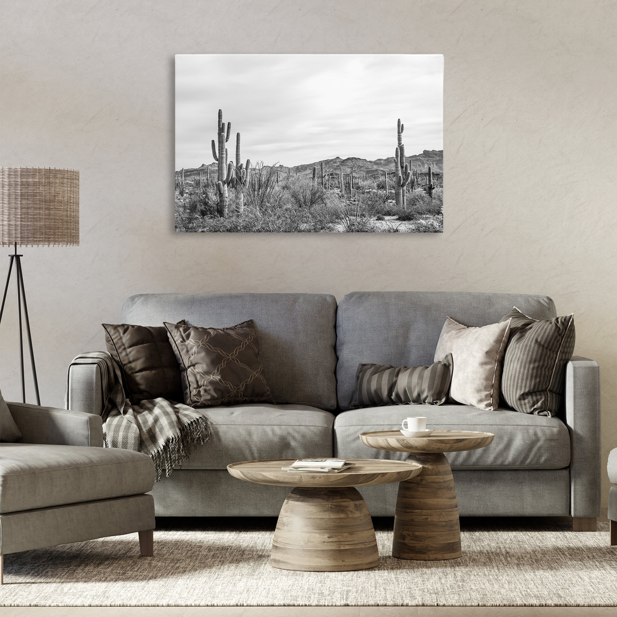 Stupell Industries Sonoran Desert Wonderland Landscape & Nature Photography Wrapped Canvas Art Print Wall Art, 36 x 24