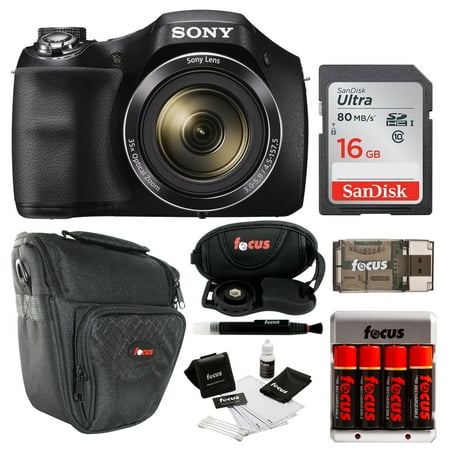 Sony DSC-H300 Digital Camera with Rechargeable Batteries and 16GB SD Card (Best Digital Camera With Rechargeable Battery)