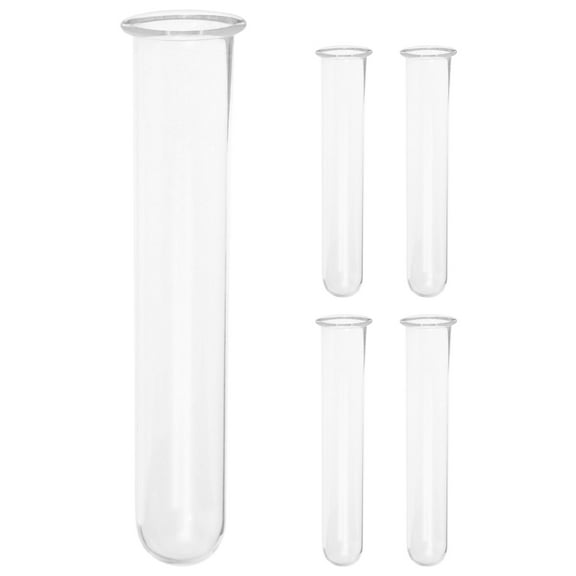 LOLIPPYY Tube Bud Vases Test Tube Clear Glass 5Pcs for Terrarium