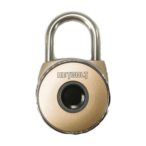 NetBolt Fingerprint Smart Padlock, Metal Waterproof, Suitable for House Door, Suitcase, Backpack, Gym, Bike, Office, Support USB Charging (Gold)
