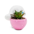thumbnail image 4 of Macetero pequeño Silver Buffalo Sanrio Cinnamoroll Fresa, 4 of 9