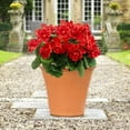 thumbnail image 4 of Morttic 4pcs Artificial Flowers Fake Geraniums for Outdoors 14 Inch Geranium Plants Silk Flowers Uv-Resistant Home Party Decor Artificial Geraniums for Outdoors Silk Flowers Home Decor, 4 of 9